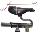 Sunny Chain Drive Premium Cycling Cycle Exercise Bike 40lb Flywheel SF-B1509C